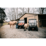 Axis 500 4×4 UTV Green - Image 7